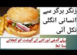 Human Flesh Zinger Burger In Restaurants