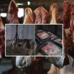 donkey eat