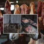 islamabad-residents-eating-donkey-meat-1000-kg-meat-seized-in-shocking-raid-pakobserver-699270
